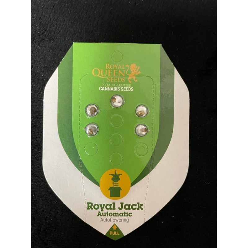 Royal Jack Otomatic Seeds 