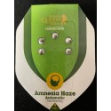 Amnesia Haze Royal Queen Automatic Seed